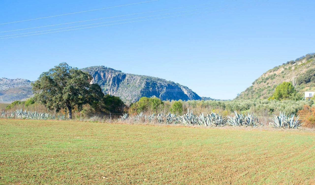 Huerta La Laja,Casa Grande Guest House Ronda Eksteriør bilde