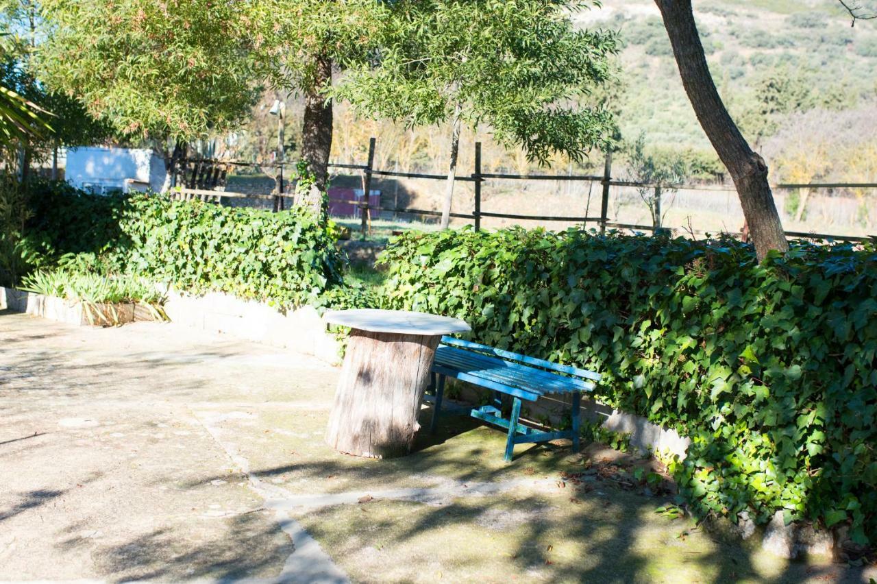 Huerta La Laja,Casa Grande Guest House Ronda Eksteriør bilde